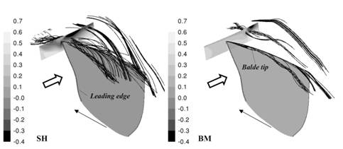 leakage_flow_CFD.jpg